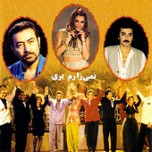 نمی ذارم بری از شهره